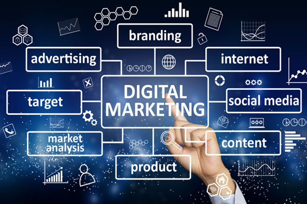 Digital Marketing (SEO)