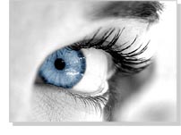 Web Designing